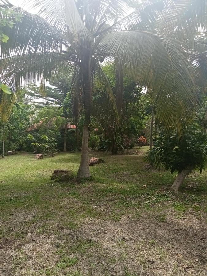 קו ג'ום Ban Ban Bangalow מראה חיצוני תמונה